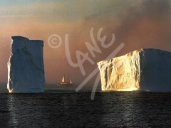 Cape Spear, iceberg at sunset